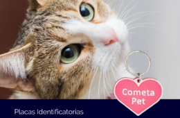 Placa de Identificación – Corazón