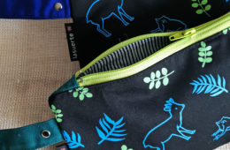 Estuche Ranita de Darwin y Pudú