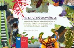 Libro digital gratis